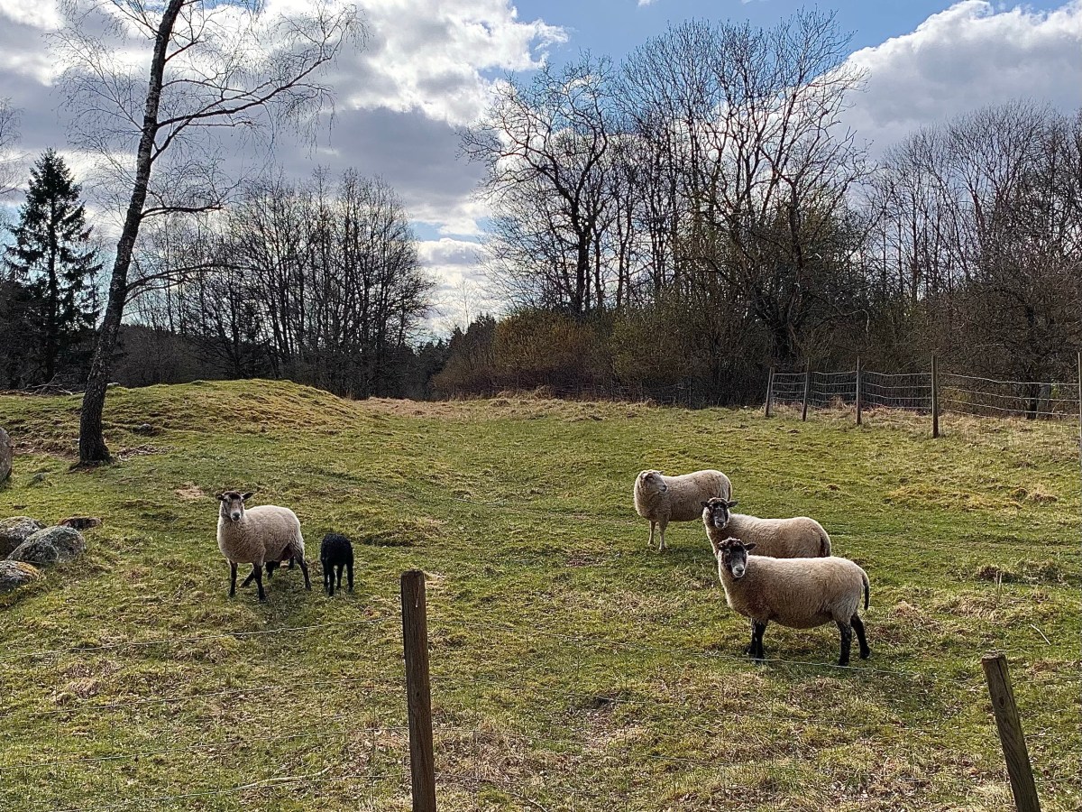Kleine Begegnungen, die gut&nbsp;tun