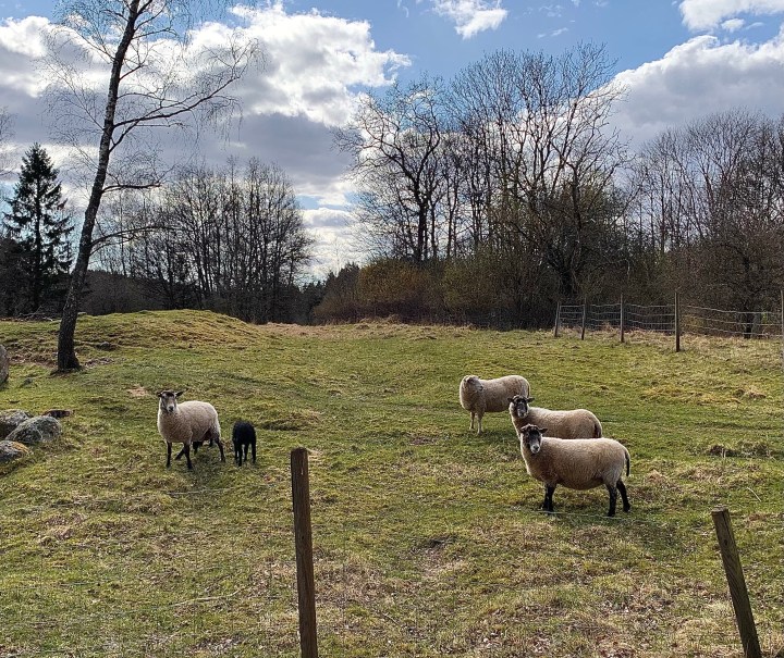 Kleine Begegnungen, die gut&nbsp;tun