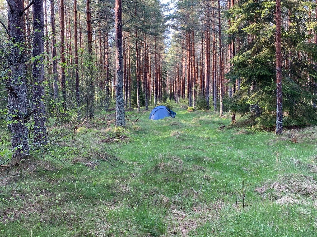 Auf den Bergslagsleden