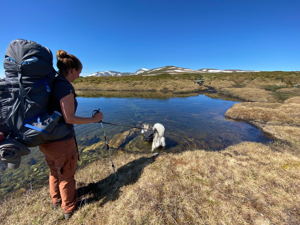 Teil vom südlichen Kungsleden: von Fjällnäs nach&nbsp;Enafors