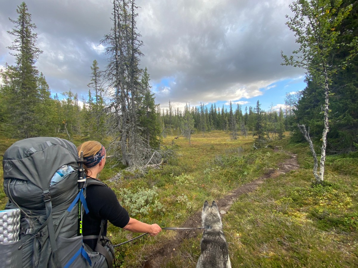 Zurück in Mora, wo alles begann. Ein zweiter&nbsp;Rückblick.