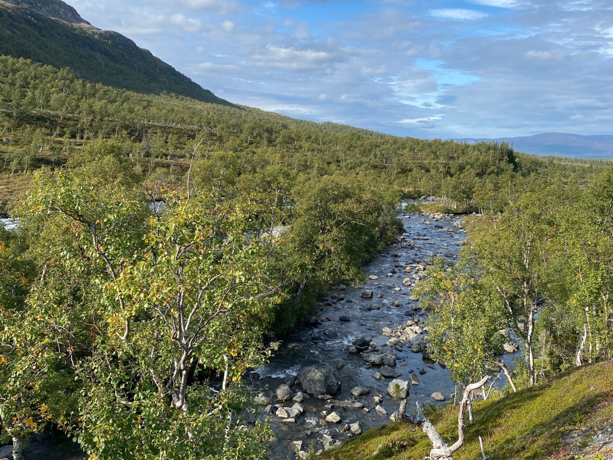 Per Zufall ins Vålådalens&nbsp;Naturreservat