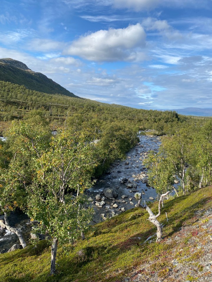 Per Zufall ins Vålådalens&nbsp;Naturreservat