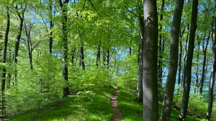 Ankommen, weiterkommen und dabei die Pausen nicht&nbsp;vergessen